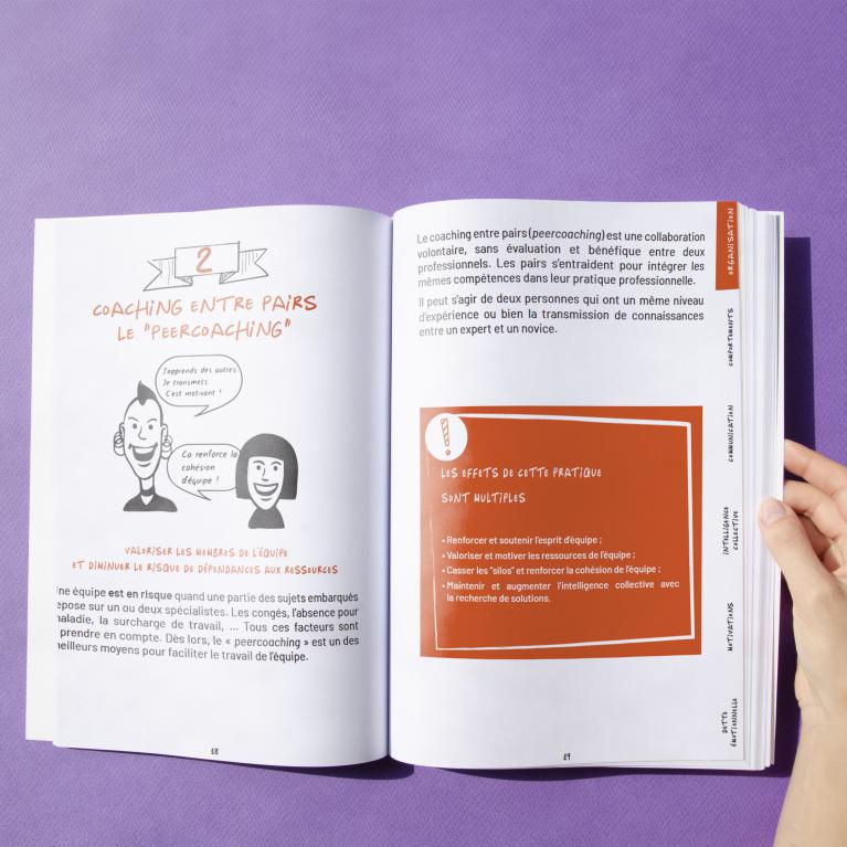 Mise en page livre soft skills