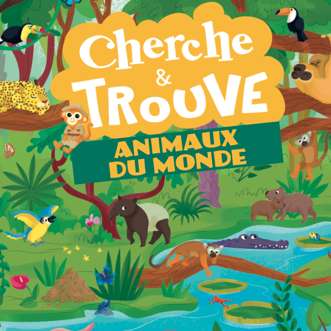 Livre cherche et trouve mise en page