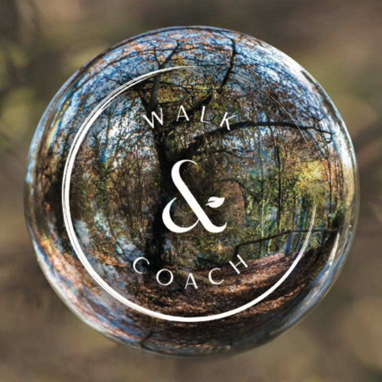 Walk and coach site web responsive